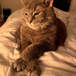 Meet your Posher, Sara